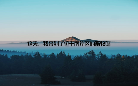 这天, 我来到了位于南岸区的畜牧站