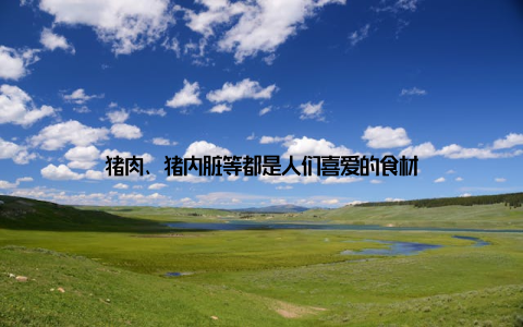 猪肉、猪内脏等都是人们喜爱的食材