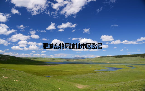 肥城畜牧局地址市区路号