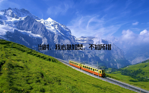 当时, 我心急如焚, 不知所措