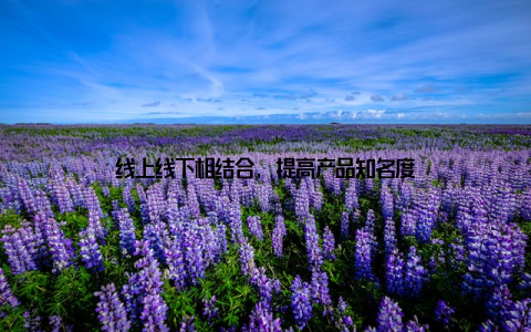 线上线下相结合, 提高产品知名度