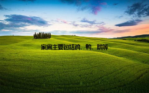 家禽主要包括鸡、鸭、鹅等