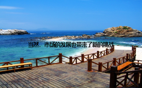 当然, 市场的发展也带来了新的挑战