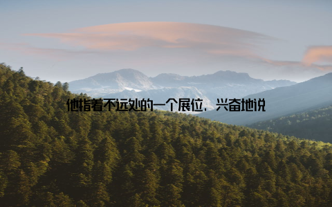 他指着不远处的一个展位, 兴奋地说