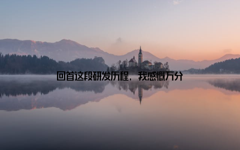 回首这段研发历程, 我感慨万分