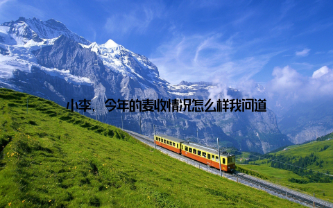 小李, 今年的麦收情况怎么样我问道