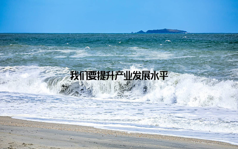 我们要提升产业发展水平