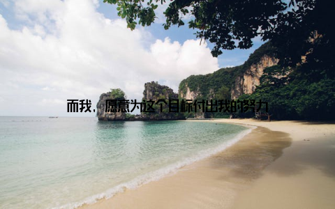 而我, 愿意为这个目标付出我的努力