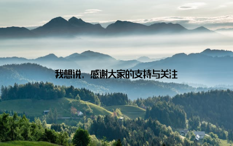 我想说, 感谢大家的支持与关注