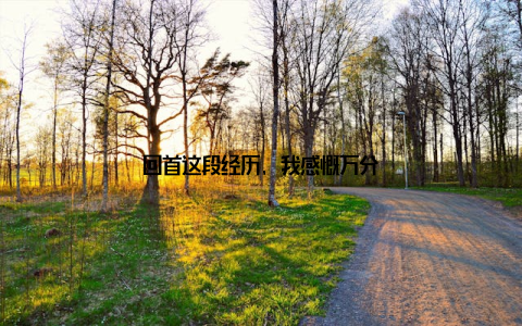 回首这段经历, 我感慨万分