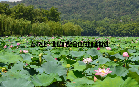 畜牧业产业链的整合也在加速推进