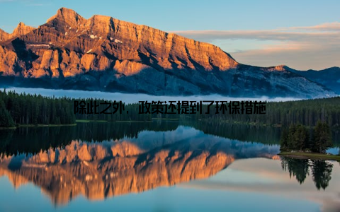 除此之外, 政策还提到了环保措施