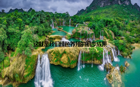 这就是我们绿色养殖的初步成果