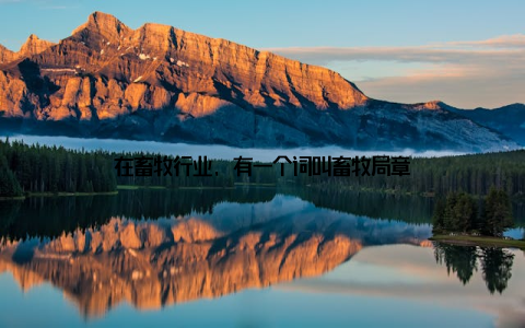 在畜牧行业, 有一个词叫畜牧局章