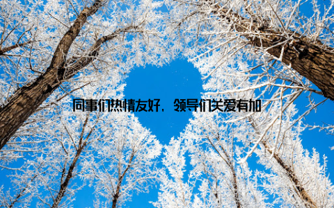 同事们热情友好, 领导们关爱有加