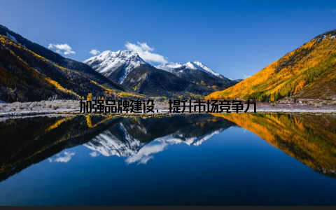 加强品牌建设, 提升市场竞争力