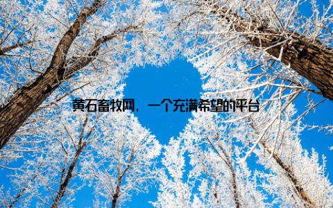 黄石畜牧网, 一个充满希望的平台