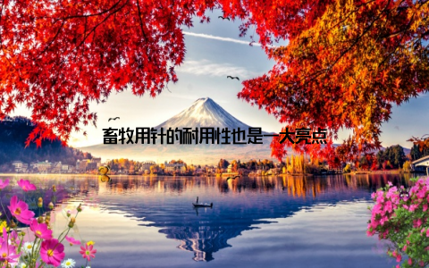 畜牧用针的耐用性也是一大亮点