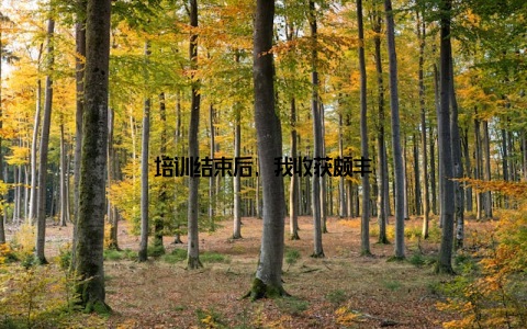 培训结束后, 我收获颇丰