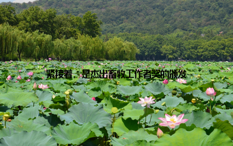 紧接着, 是杰出畜牧工作者奖的颁发