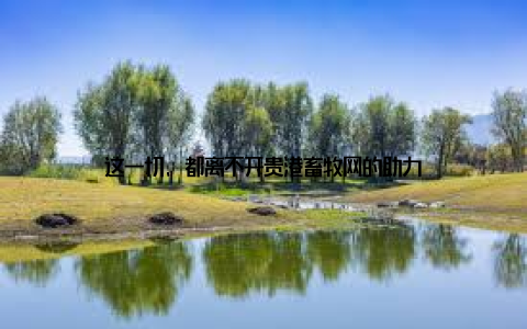 这一切, 都离不开贵港畜牧网的助力