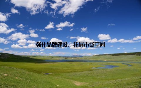 强化品牌建设, 拓展市场空间