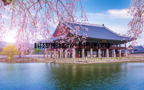 科技是推动畜牧产业升级的关键