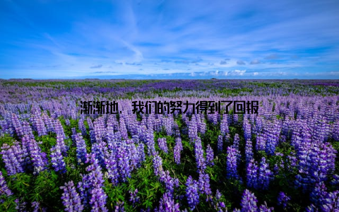 渐渐地, 我们的努力得到了回报