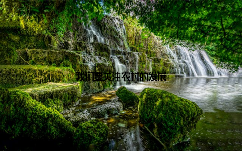 我们要关注农村的发展