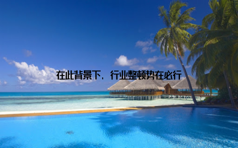 在此背景下, 行业整顿势在必行
