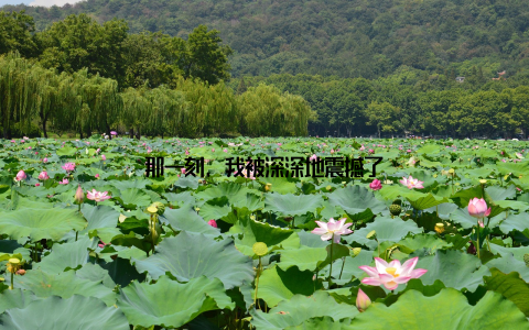 那一刻, 我被深深地震撼了