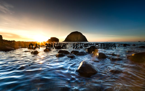 作为一名从业者, 我深感兴奋和期待