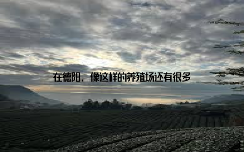 在德阳, 像这样的养殖场还有很多