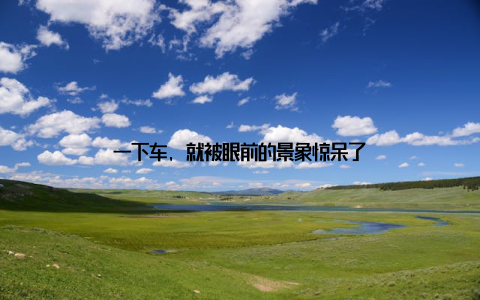 一下车, 就被眼前的景象惊呆了