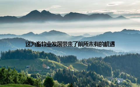 这为畜牧业发展带来了前所未有的机遇