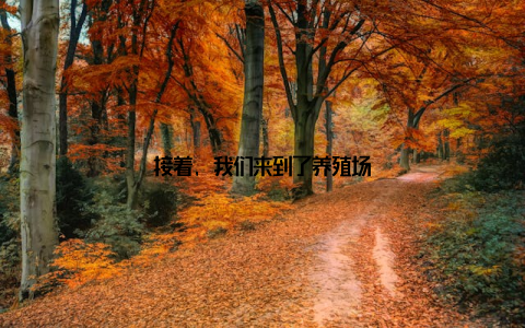 接着, 我们来到了养殖场