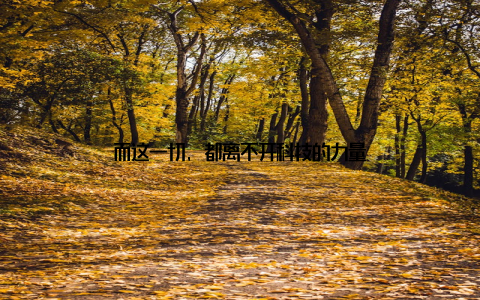 而这一切, 都离不开科技的力量