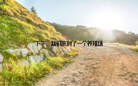 下午, 我们来到了一个养殖场