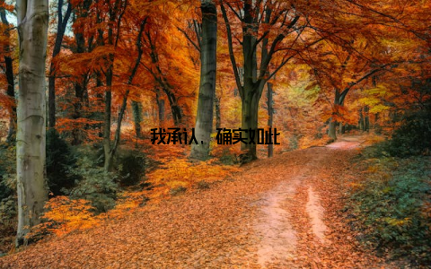 我承认, 确实如此