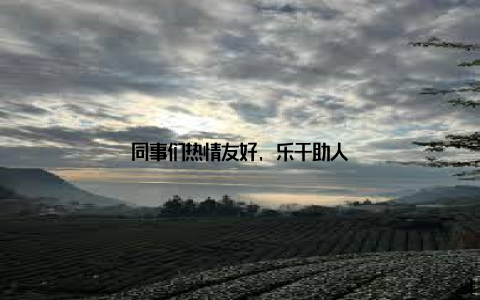 同事们热情友好, 乐于助人