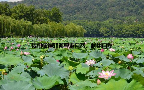 我们懂得如何尊重自然, 利用自然