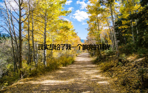 现实却给了我一个响亮的耳光