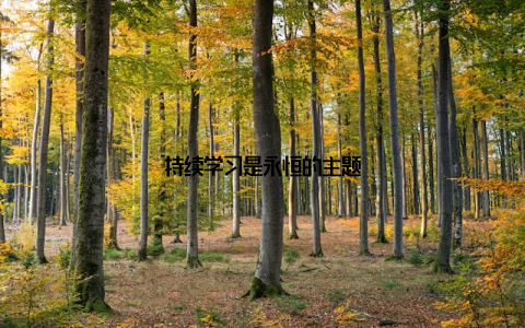 持续学习是永恒的主题