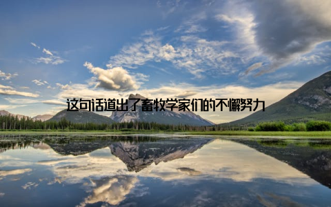 这句话道出了畜牧学家们的不懈努力