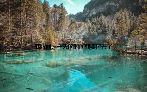 转眼间, 一天的时间就要过去了