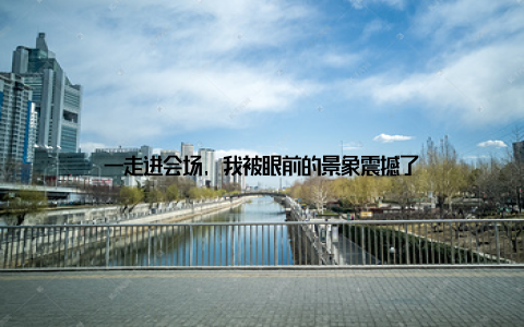 一走进会场, 我被眼前的景象震撼了