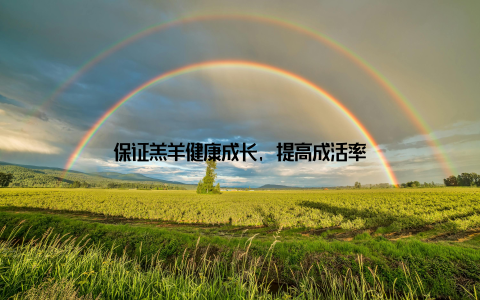 保证羔羊健康成长, 提高成活率