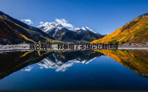 展会期间, 我参加了多场论坛和讲座