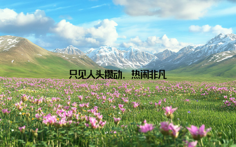 只见人头攒动, 热闹非凡