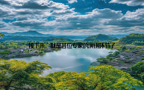 接下来, 就是各位专家的演讲环节了